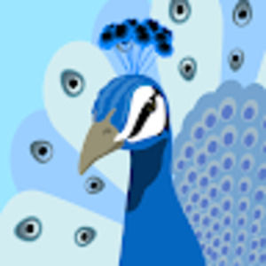 Meet your Posher, Sandy